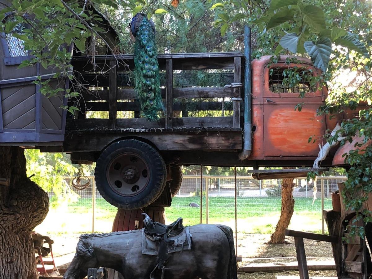 Wine Country Private Working Sheep Farm; Rustic Elegance Villa Temecula Exterior photo